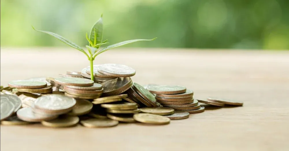 Tips on Agricultural Loans