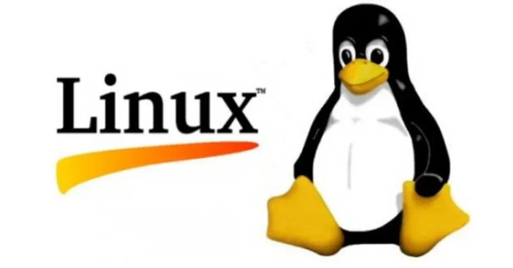 Common Commands (for Linux)