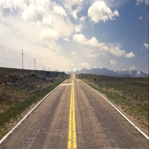 Why travel so long and return so often