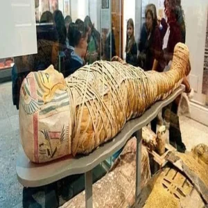 About mammoths and how to create mammoths