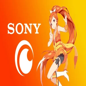 Sony acquires anime streaming business for $ 1.175 billion