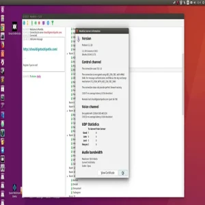 Easy and fast installing mumble on Ubuntu OS