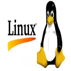 Common Commands (for Linux)