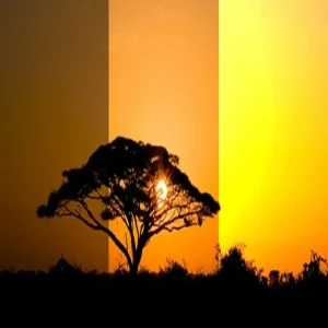 What is important exposure in photography?