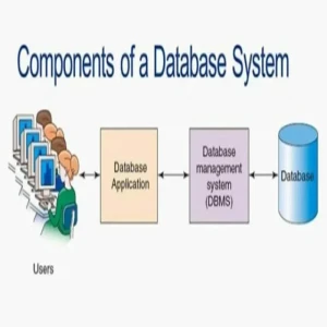 For those who are studying Database