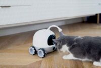 Rocky Companion And Playmate Robot For Pets Featured Image23 (1)